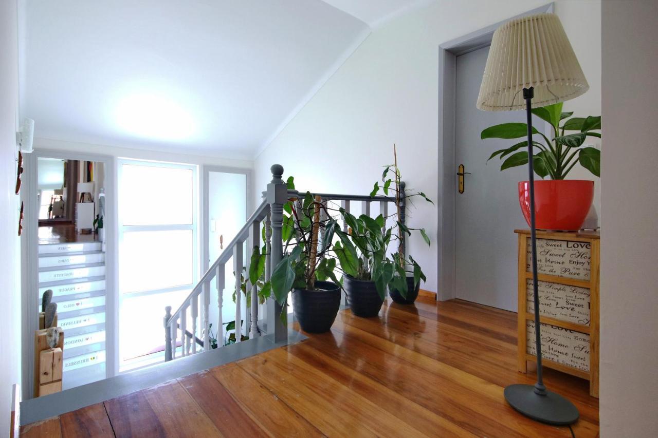 Casa Da Flor Ξενοδοχείο Ribeira Grande Εξωτερικό φωτογραφία